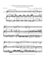 O Sachs! Mein Freund! (Eva's aria) from Die Meistersinger von Nurnberg - Accessible Accompaniments Edition